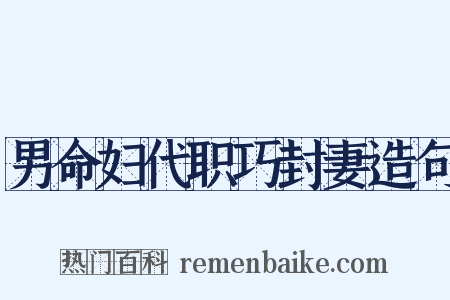 男命妇代职巧封妻造句是什么意思的图片